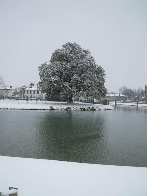 Villa Olanda Mira Εξωτερικό φωτογραφία