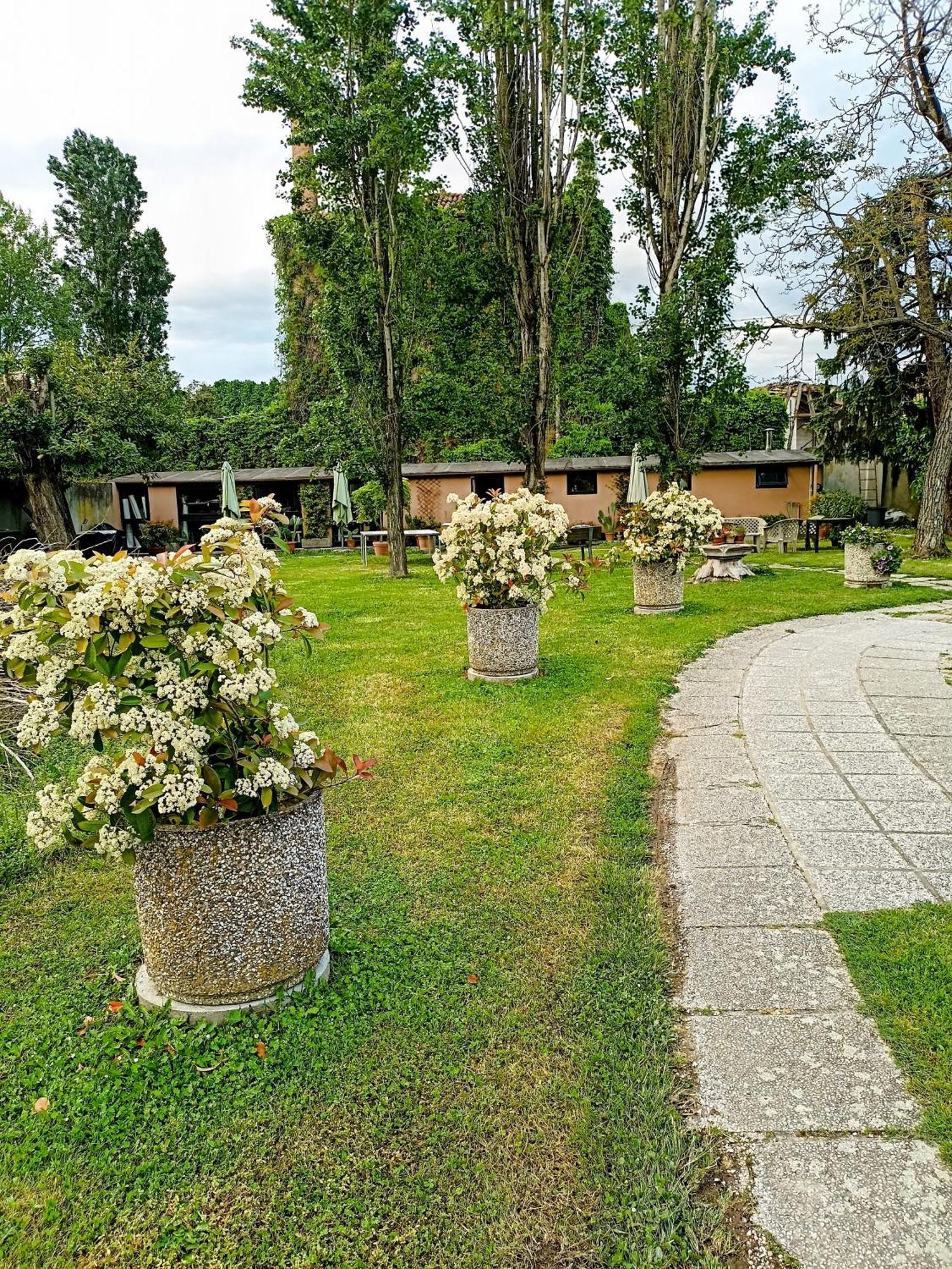 Villa Olanda Mira Εξωτερικό φωτογραφία
